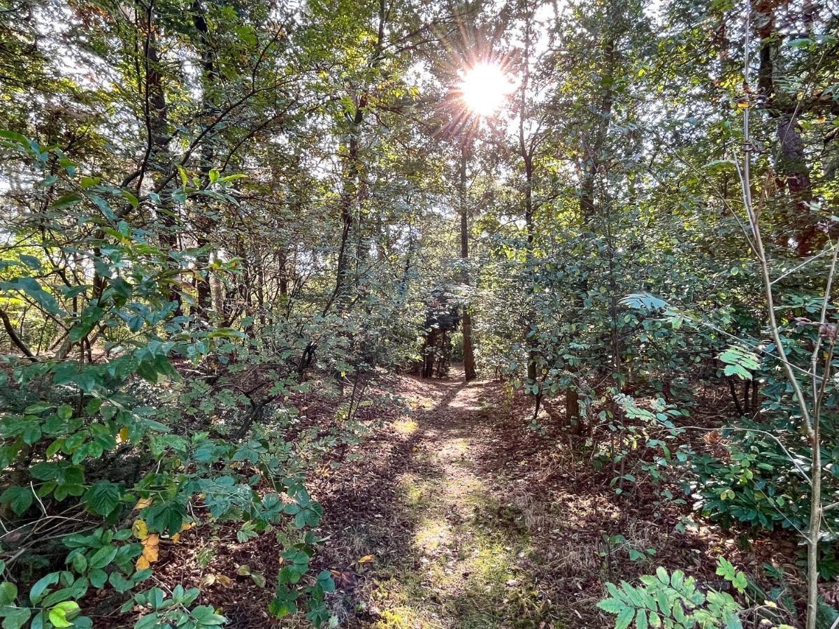 Modern Natuurhuisje Midden In Het Bos Op De Veluwe - Beau Home Otterlo Exteriér fotografie