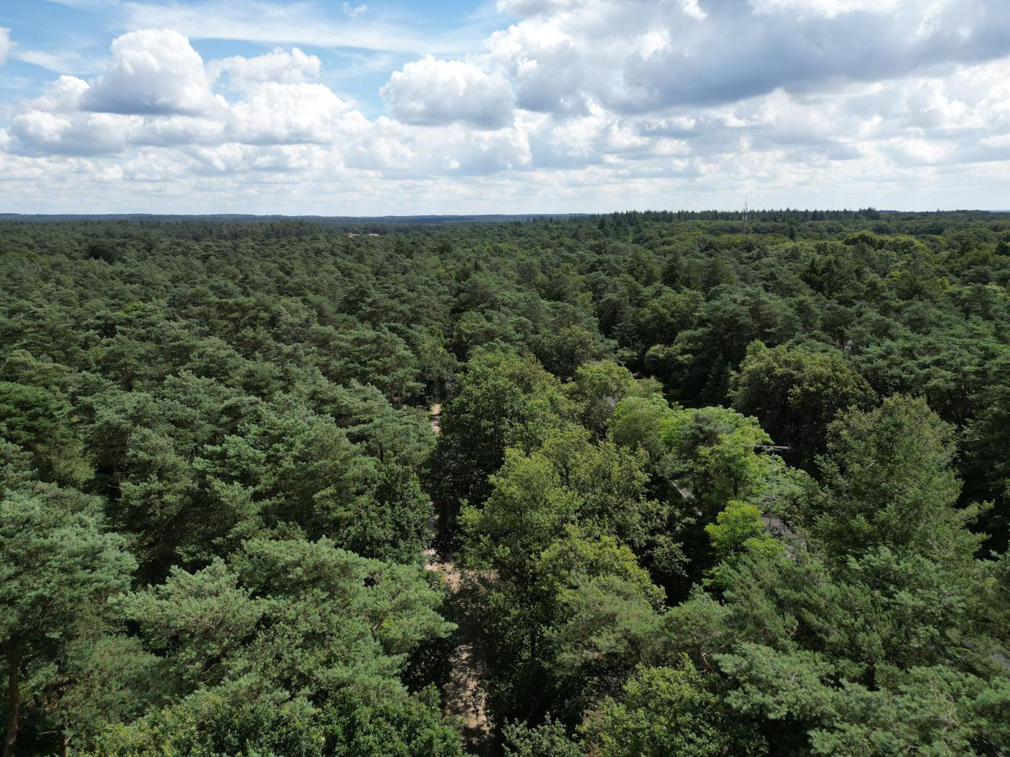 Modern Natuurhuisje Midden In Het Bos Op De Veluwe - Beau Home Otterlo Exteriér fotografie