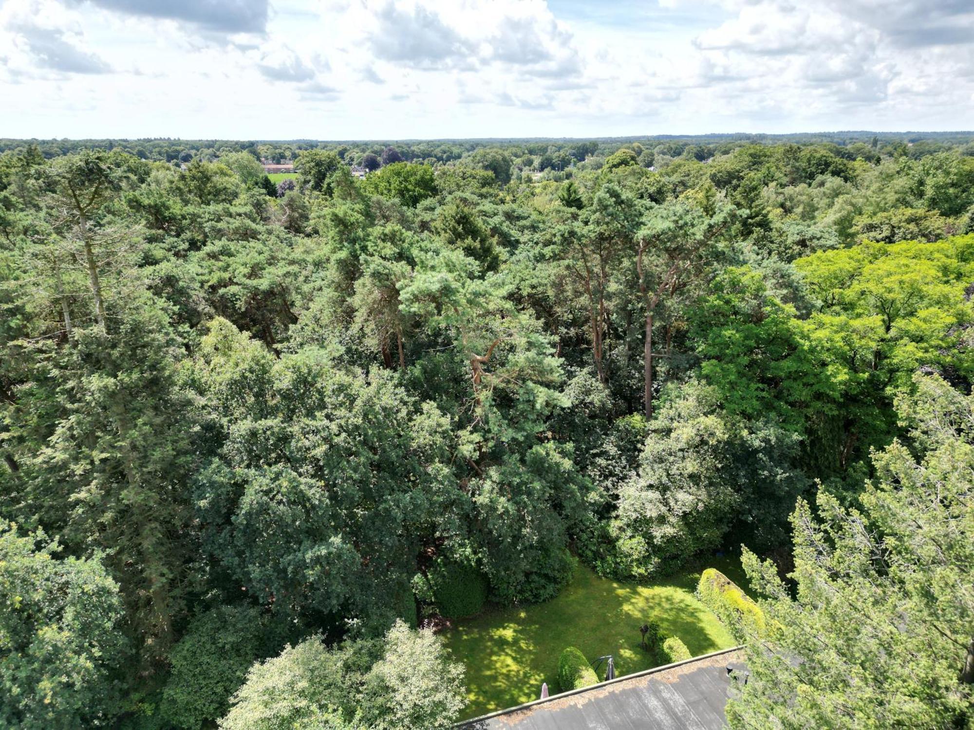 Modern Natuurhuisje Midden In Het Bos Op De Veluwe - Beau Home Otterlo Exteriér fotografie