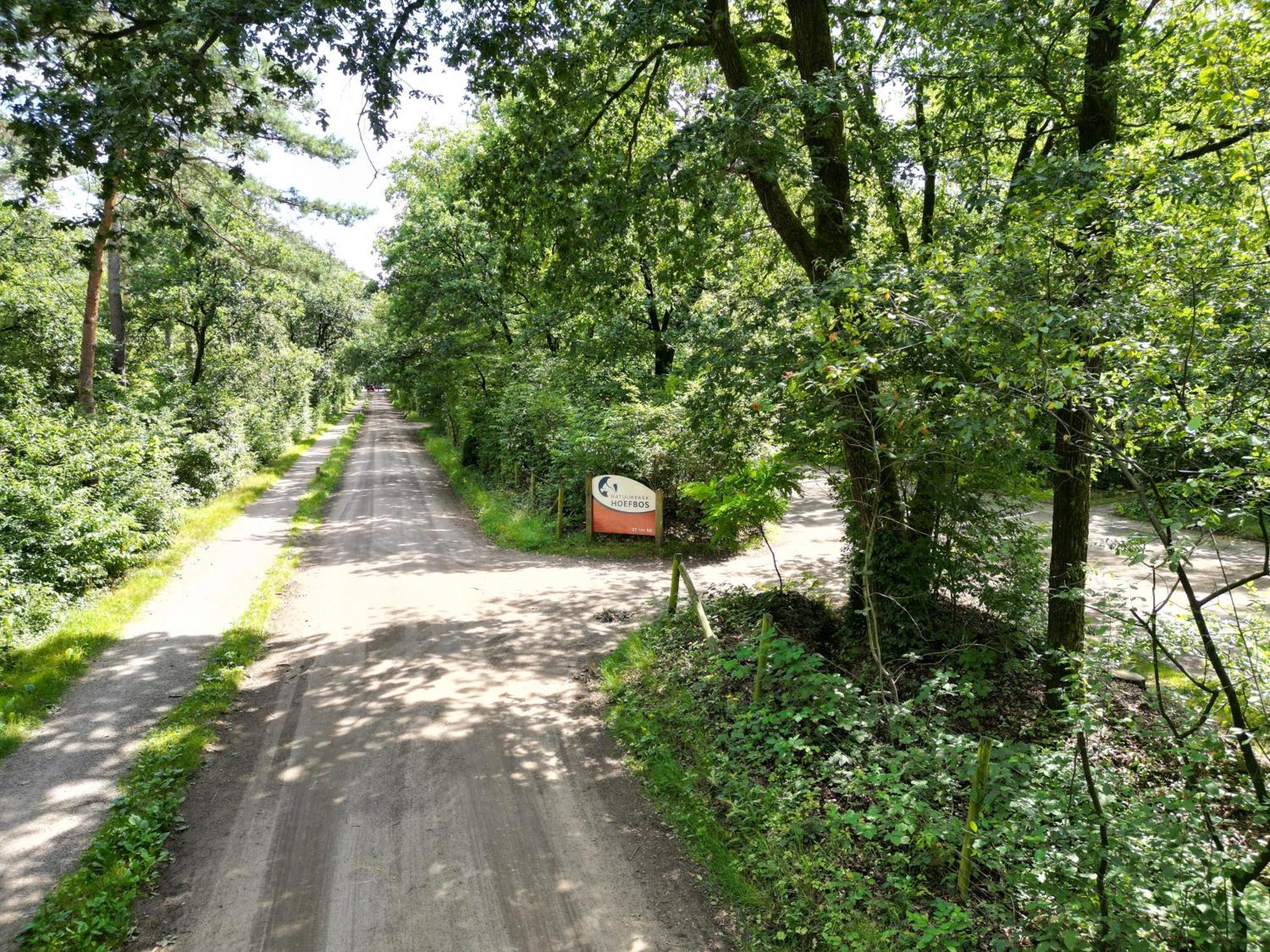 Modern Natuurhuisje Midden In Het Bos Op De Veluwe - Beau Home Otterlo Exteriér fotografie