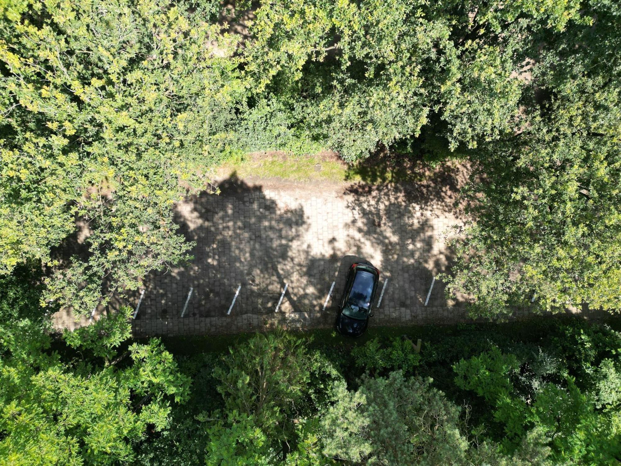 Modern Natuurhuisje Midden In Het Bos Op De Veluwe - Beau Home Otterlo Exteriér fotografie