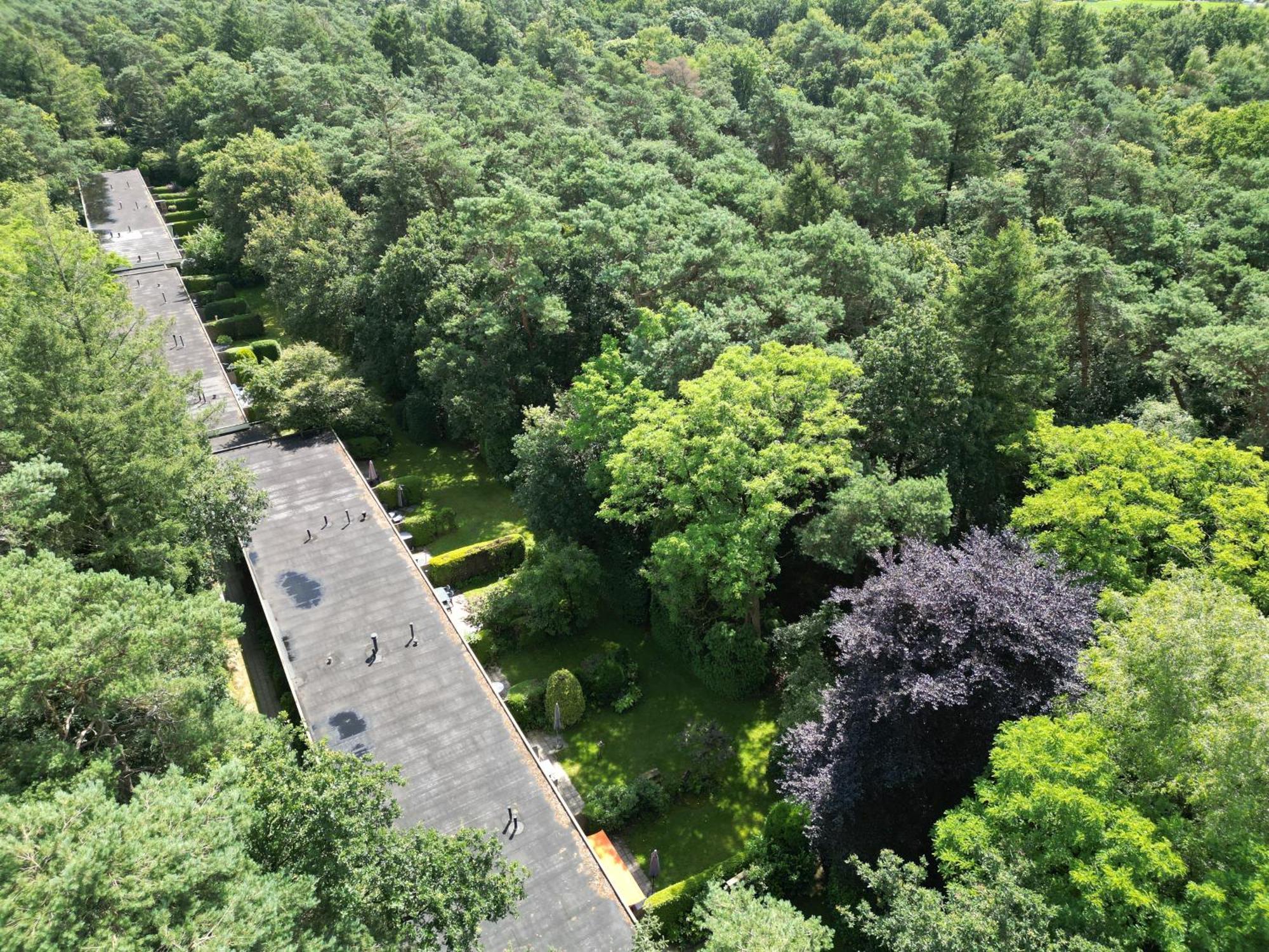 Modern Natuurhuisje Midden In Het Bos Op De Veluwe - Beau Home Otterlo Exteriér fotografie